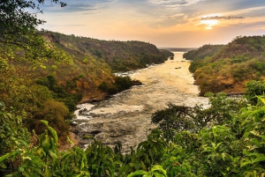 Kenia, Tanzania, Oeganda, Rwanda en Burundi: 25-daagse rondreis