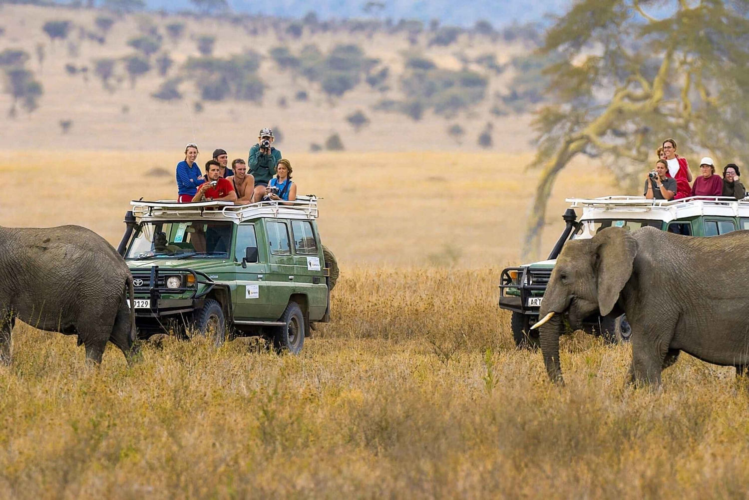 Kenya Wildlife Safari and Diani Beach Holiday- 14 Days Tour