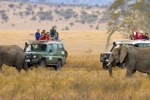 Kenya Wildlife Safari and Diani Beach Holiday- 14 Days Tour
