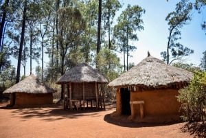 Культурный тур по Кении: танцы, музыка и наследие