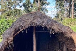 Tour culturale in Kenya: danza, musica e patrimonio