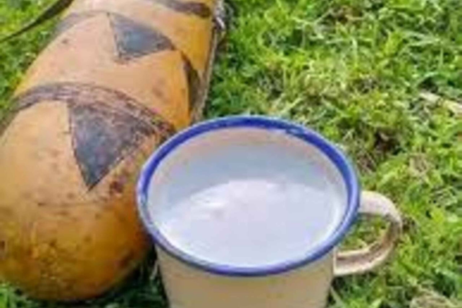 Kericho: bezoek aan een Kalenjin-boerderij met Mursik-proeverij