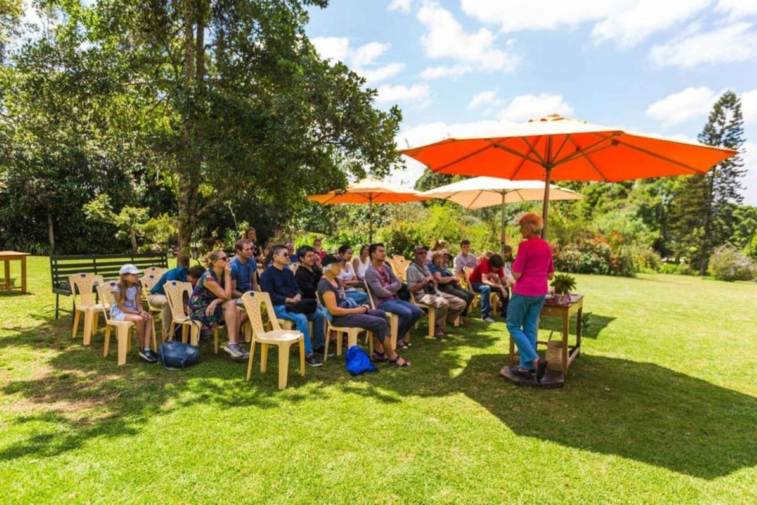 Kiambethu Tea Farm Tour (alles inbegrepen)