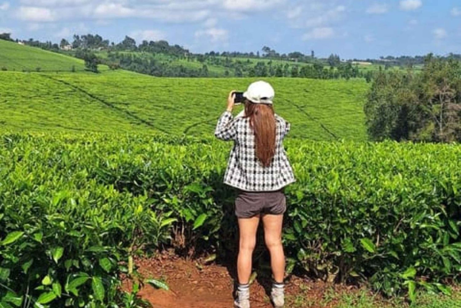 Kiambethu Tea Farm Tour (alles inbegrepen)