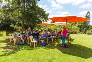 Kiambethu Tea Farm Tour (alles inbegrepen)