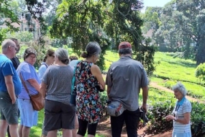 Kiambethu Tea Farm Tour (alles inbegrepen)