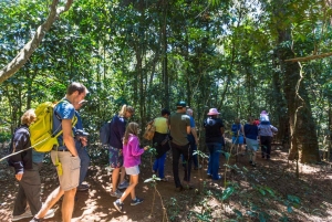 Kiambethu Tea Farm Tour (alles inbegrepen)