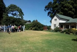 Kiambethu Tea Farm Tour (alles inbegrepen)