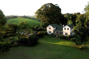 Kiambethu Tea Farm Tour (alles inbegrepen)