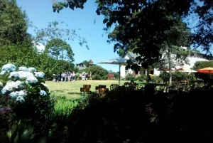 Kiambethu Tea Farm Tour (alles inbegrepen)