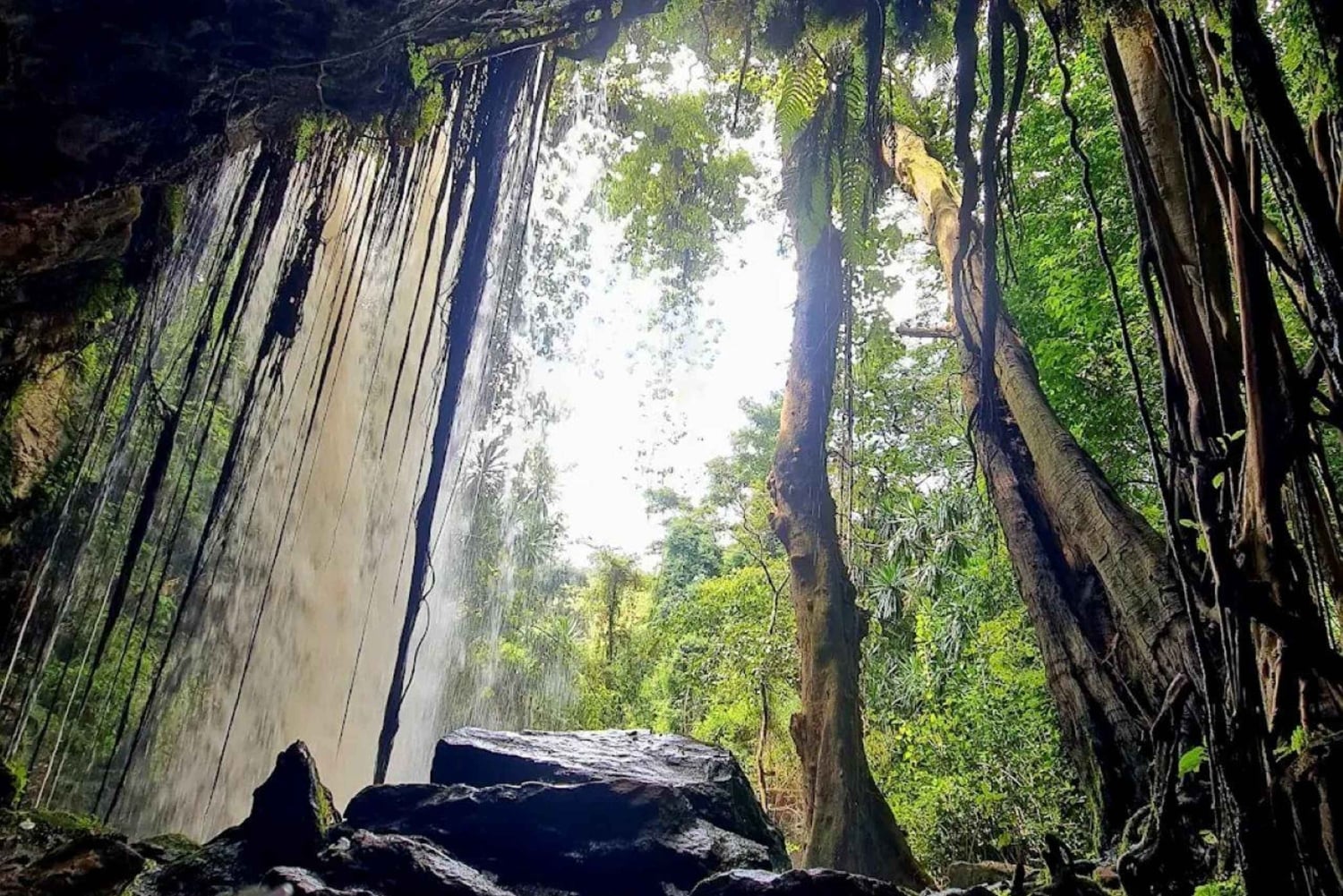 Kiambu: een halve dag plezier in Paradise Lost