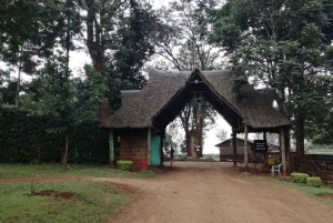 Kiambu: een halve dag plezier in Paradise Lost