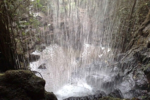 Kiambu: een halve dag plezier in Paradise Lost