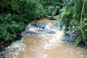 Kiambu: een halve dag plezier in Paradise Lost