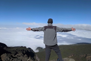 キリマンジャロ：ウフルピーク登頂とロンガイルート・トレッキング6日間