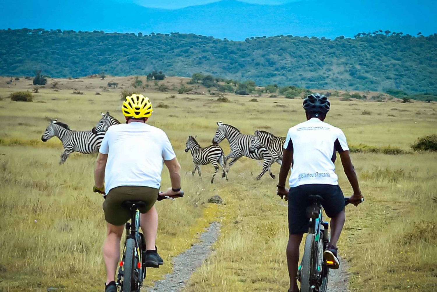 Safaris por el Kilimanjaro Bike Park