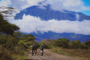 Safaris por el Kilimanjaro Bike Park