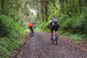 Safáris no Kilimanjaro Bike Park