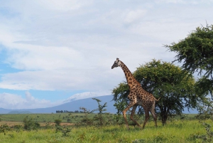 Kilimanjaro Fietspark Safari's