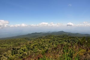 Kilimanjaro: De la meseta de Shira al punto de la Catedral 3872m Día de excursión