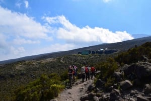 Kilimanjaro: De la meseta de Shira al punto de la Catedral 3872m Día de excursión