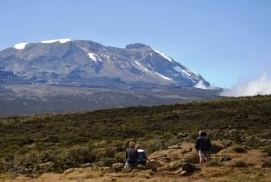 Kilimanjaro: De la meseta de Shira al punto de la Catedral 3872m Día de excursión