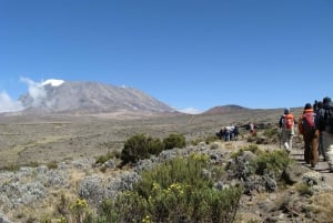 Kilimanjaro: De la meseta de Shira al punto de la Catedral 3872m Día de excursión