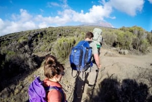 Kilimanjaro: De la meseta de Shira al punto de la Catedral 3872m Día de excursión