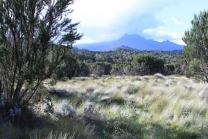 Kilimanjaro: De la meseta de Shira al punto de la Catedral 3872m Día de excursión