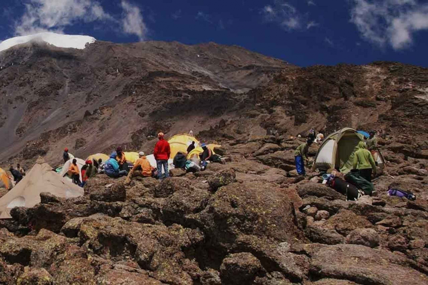 Kilimanjaro nationalpark - Shira-platån, en dags vandring