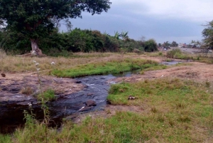Kimbo: Historical Dams Tour with Coffee Tasting