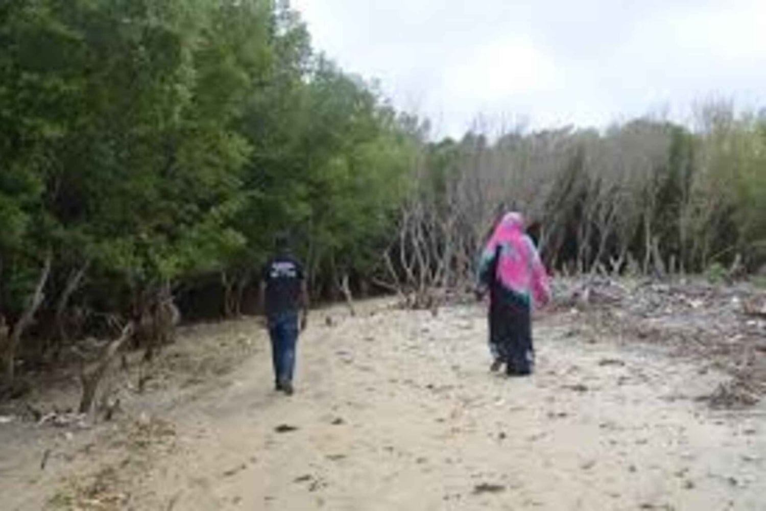 Kipini: tour a pie para conservar los manglares