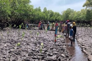 Kipini: tour a pie para conservar los manglares