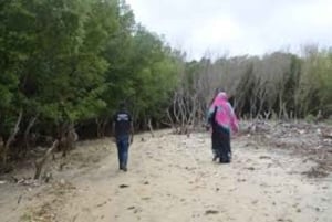 Kipini: tour a pie para conservar los manglares