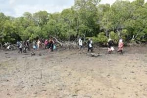 Kipini: tour a pie para conservar los manglares