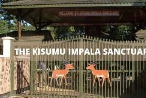 Kisumu: 3-Day Guided Tour with Dhow Cruise & Safari