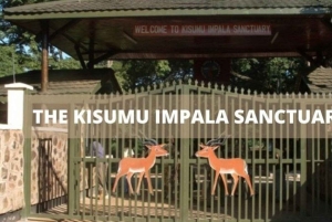 Kisumu: 3-Day Guided Tour with Dhow Cruise & Safari