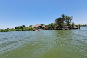 Kisumu Lake Victoria Boat Ride and Hippo Hunt