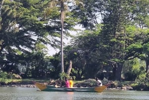 Kisumu Lake Victoria Boat Ride and Hippo Hunt