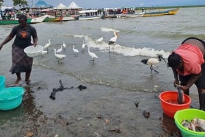 Kisumu Lake Victoria Boat Ride and Hippo Hunt