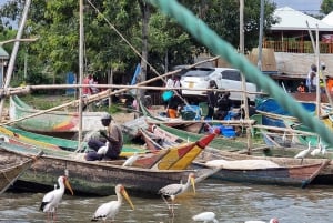 Kisumu Lake Victoria Boat Ride and Hippo Hunt