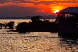 Kisumu Lake Victoria Boat Ride and Hippo Hunt
