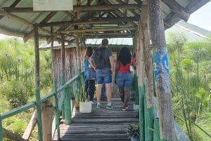 Kisumu Lake Victoria Boat Ride and Hippo Hunt