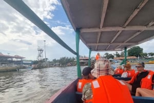 Kisumu Lake Victoria Boat Ride and Hippo Hunt