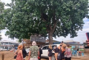 Kisumu Lake Victoria Boat Ride and Hippo Hunt