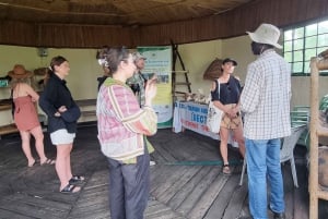 Kisumu Lake Victoria Boat Ride and Hippo Hunt