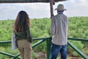 KISUMU: båttur på Lake Victoria, flodhest- og fugletitting