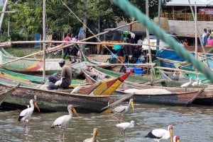 KISUMU: båttur på Lake Victoria, flodhest- og fugletitting