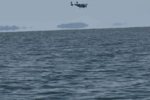 KISUMU: båttur på Lake Victoria, flodhest- og fugletitting