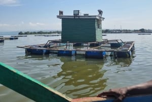 KISUMU: båttur på Lake Victoria, flodhest- og fugletitting